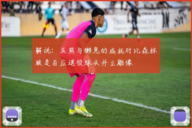 解说：灰熊与獭兔的成就对比森林狼是否应退役球衣并立雕像