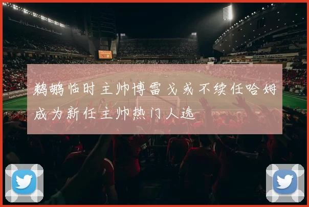 鹈鹕临时主帅博雷戈或不续任哈姆成为新任主帅热门人选